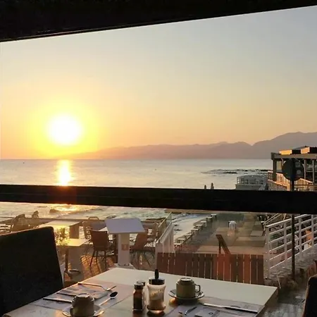 Palmera & - Adults Only