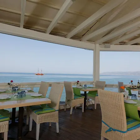 Palmera & - Adults Only Hersonissos (Crete)